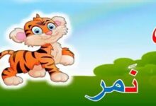 أسماء حيوانات تبدأ بحرف النون 27 أسماء حيوانات تبدأ بحرف النون