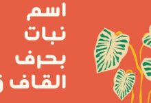 أسماء نبات بحرف القاف 20 أسماء نبات بحرف القاف