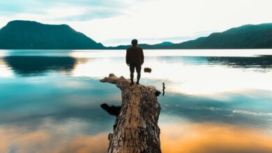 أيهما أفضل ألمانيا أم كندا دليل شامل 11 أيهما أفضل ألمانيا أم كندا