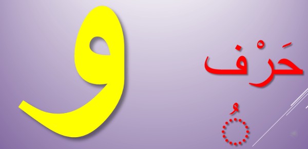 اسماء حيوانات بحرف الواو 1 اسماء حيوانات بحرف الواو