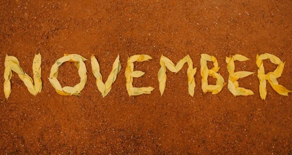 نوفمبر أي شهر 2 نوفمبر أي شهر