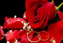 بوستات خطوبة بالصور وأجمل خلفيات التهنئة للعروسين 39 صور دبل خطوبة مباركة