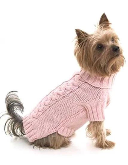 صور كلاب جميلة ومميزة لأنواع مختلفة 10 صُور كلاب جميلة