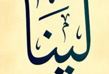 معنى اسم لينا وصفاته 26 معنى اسم لينا