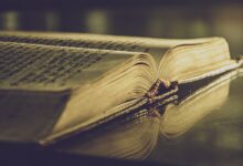 نور ينير عتمتي قصة جزينة 20 نور ينير عتمتي