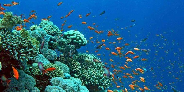 صور بحر جميلة مميزة - موقع ياهلا