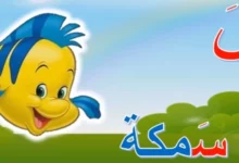 أغرب أسماء حيوانات بحرف السين 21 أسماء حيوانات بحرف السين