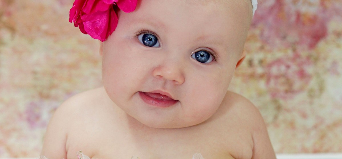 أسماء بنات هولندية جميلة 1 معنى اسم زينب