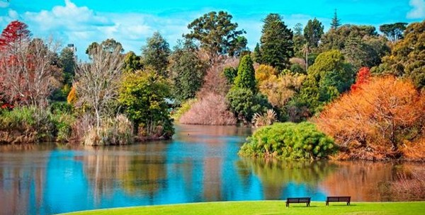 الحدائق النباتية الملكية فيكتوريا