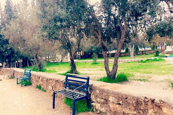 السياحة في اربد وأهم الأماكن بها 4 السياحة في اربد