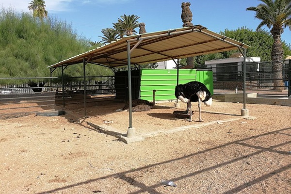 السياحة في صفاقس وأجمل الأماكن بها 8 السياحة في صفاقس