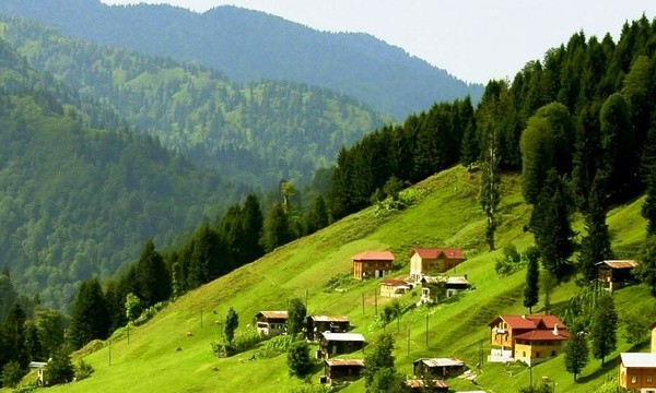 غابات القوقاز