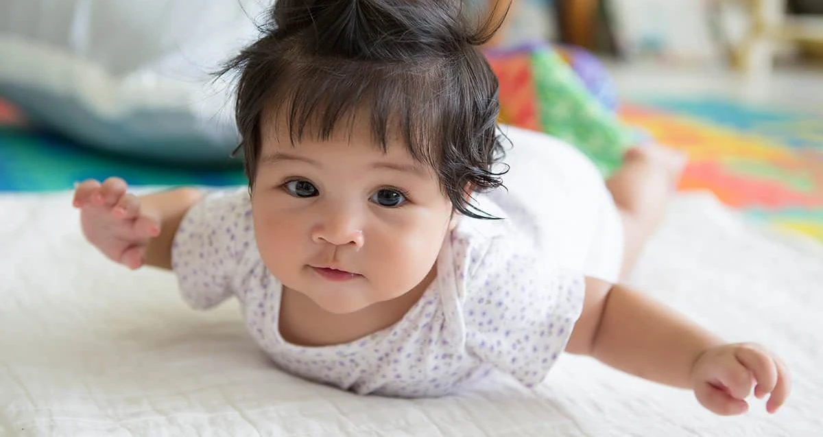 معنى اسم ليلاس وصفاته 1 معنى اسم ليلاس