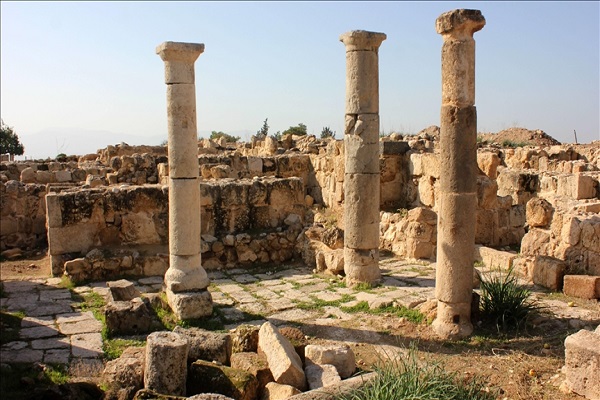 السياحة في اربد وأهم الأماكن بها 11 السياحة في اربد