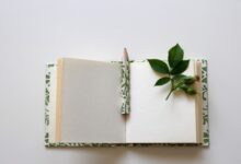 أقوال عن تهنئة عن مولود 21 أقوال عن تهنئة عن مولود