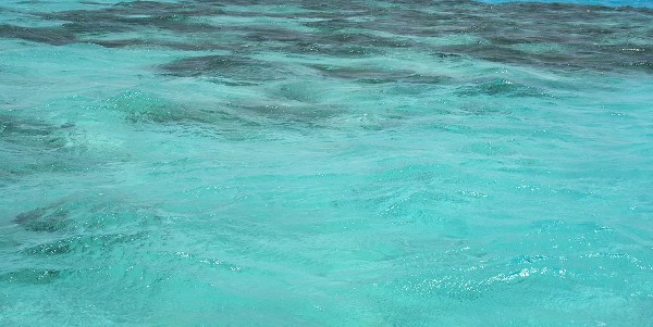 ما هي اشد البحار ملوحة في العالم ؟ 4 اشد البحار ملوحة في العالم