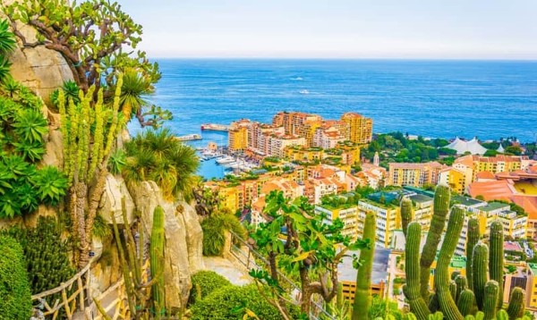 السياحة في موناكو وافضل المعالم بها 5 الحديقة الفريدة جاردن إكزوتيك