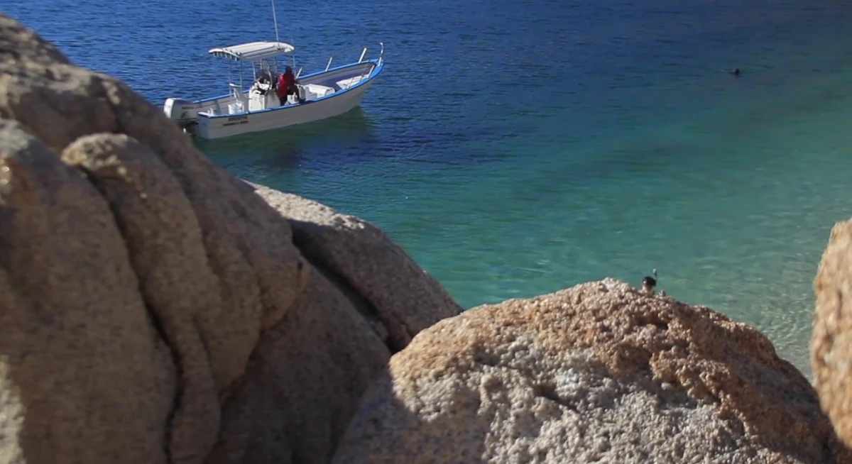 السياحة في البركاء واجمل المعالم بها 1 السياحة في البركاء