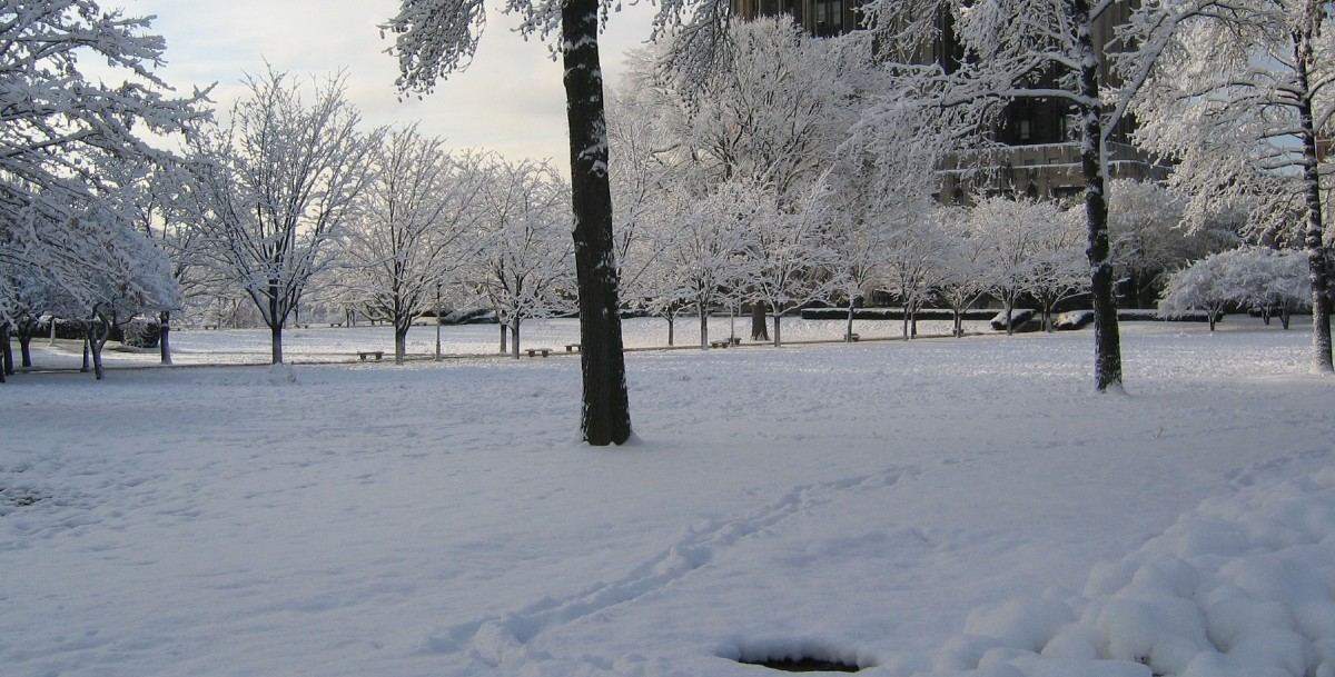 تفسير الشتاء في المنام 1 الشتاء في المنام
