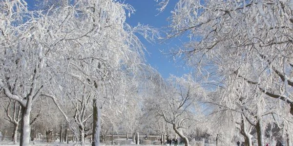تفسير الشتاء في المنام 3 الشتاء في المنام