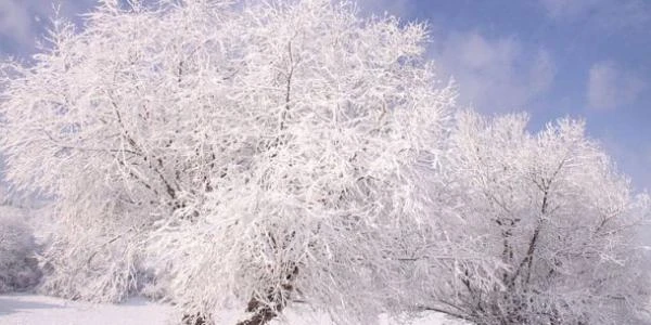 تفسير الشتاء في المنام 4 الشتاء في المنام