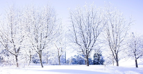 تفسير الشتاء في المنام 2 الشتاء في المنام