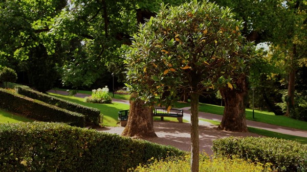 السياحة في لوزان واهم المعالم بها 9 بارك دي مون ريبوس