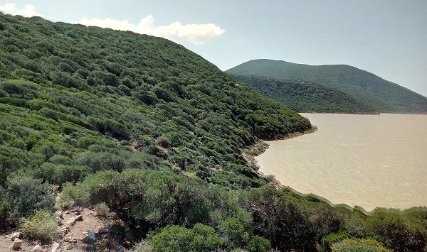 السياحة في طبرقة واهم المعالم بها 9 حديقة اشكل الوطنية