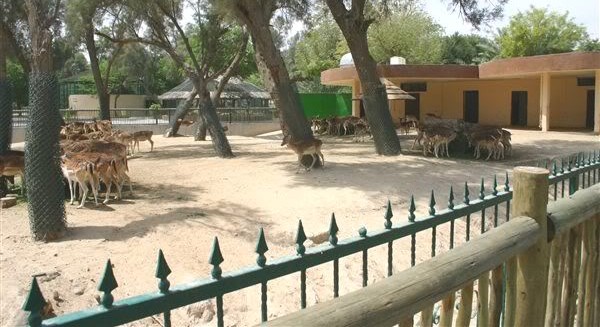 حديقة الحيوان الكويت