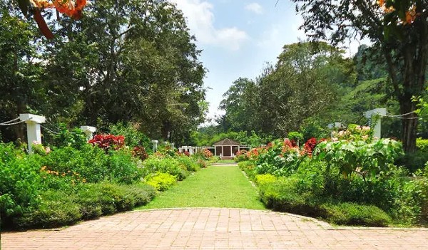 حديقة بينانج النباتية