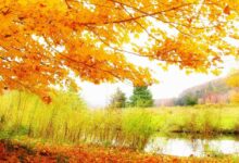 اجمل خلفيات طبيعية روعة 48 خلفيات طبيعية روعة