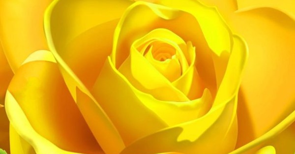 اجمل صور خلفيات مناظر طبيعية ورود 5 خلفيات مناظر طبيعية ورود