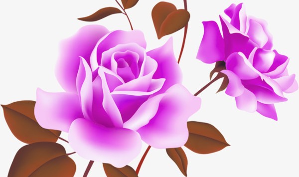 اجمل صور خلفيات مناظر طبيعية ورود 4 خلفيات مناظر طبيعية ورود