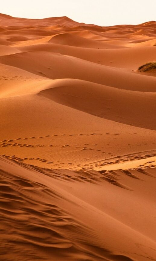 صور الصحراء 