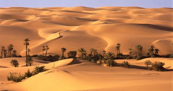 الصحراء 