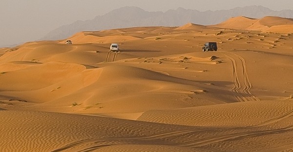 الصحراء 