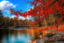 اجمل صور خلفيات الطبيعة بجودة عالبة 62 صور خلفيات الطبيعة