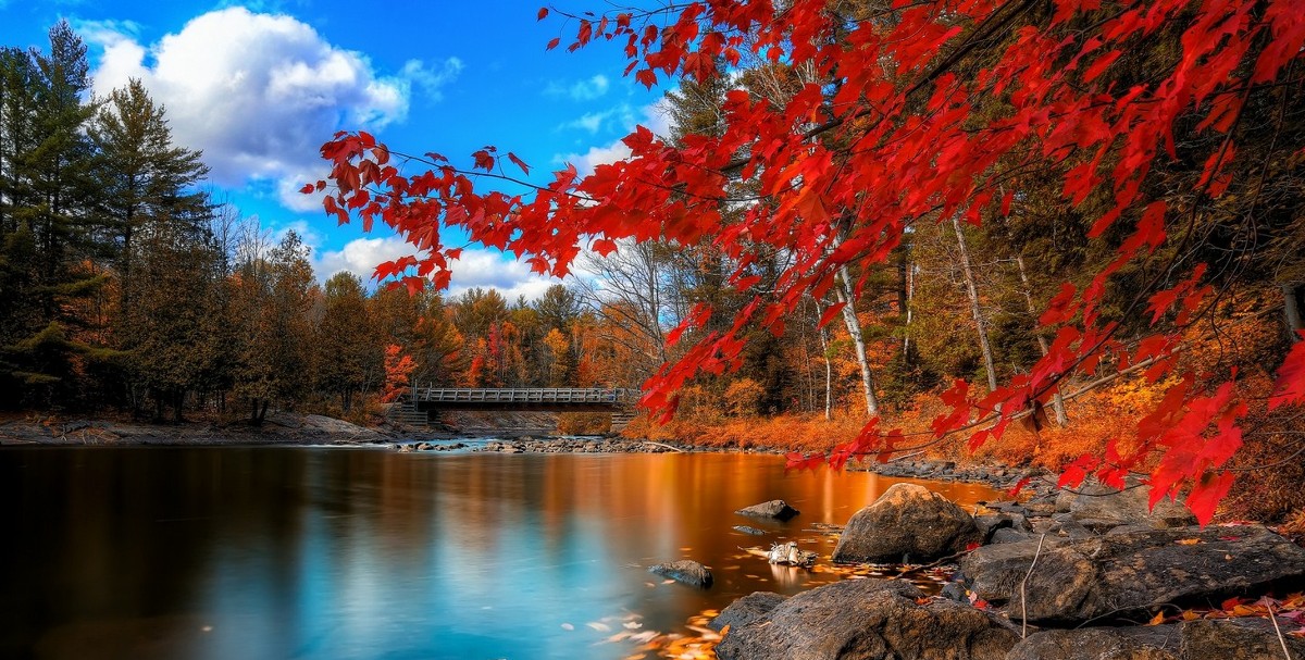 اجمل صور خلفيات الطبيعة بجودة عالبة 1 صور خلفيات الطبيعة