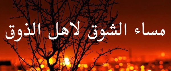 اجمل صور مساء الخير جديدة 6 صور مساء الخير