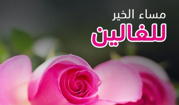 اجمل صور مساء الخير جديدة 15 صور مساء الخير