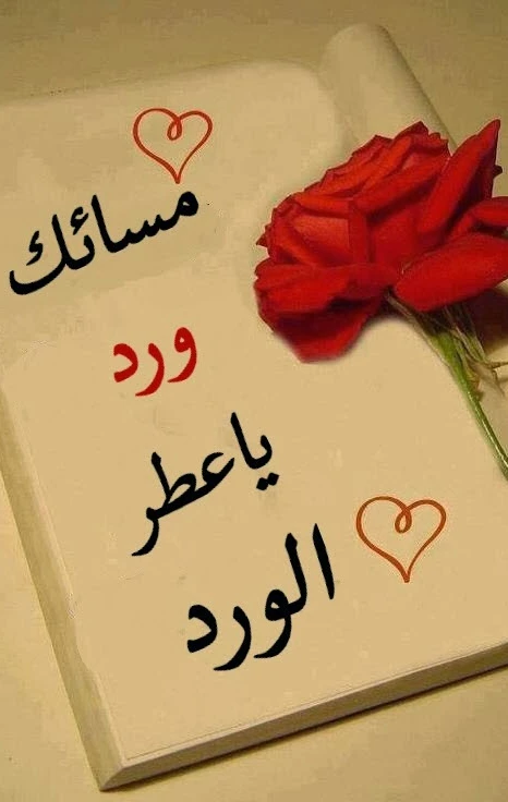 اجمل صور مساء الخير جديدة 14 صور مساء الخير