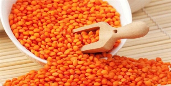 اهم فوائد العدس البرتقالي للجسم 2 فوائد العدس البرتقالي