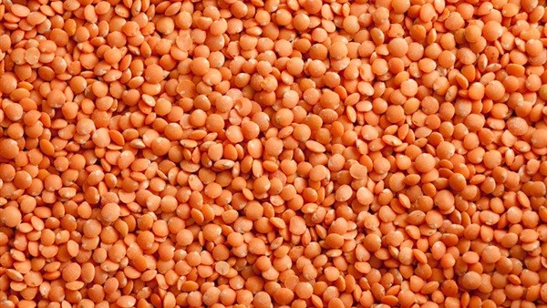 اهم فوائد العدس البرتقالي للجسم 4 فوائد العدس البرتقالي