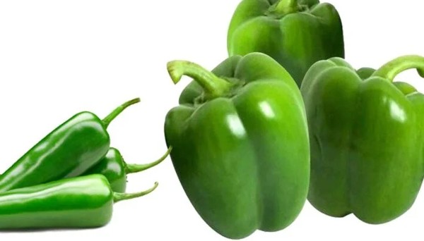 اهم فوائد الفلفل الرومي للجسم والشعر 4 فوائد الفلفل الرومي