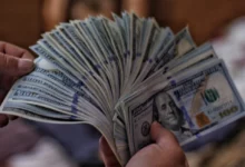 كيف اصبح غنيا بمشروع صغير ؟ 26 كيف اصبح غنيا بمشروع صغير