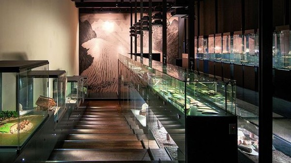 السياحة في لوزان واهم المعالم بها 6 متحف تاريخ لوزان