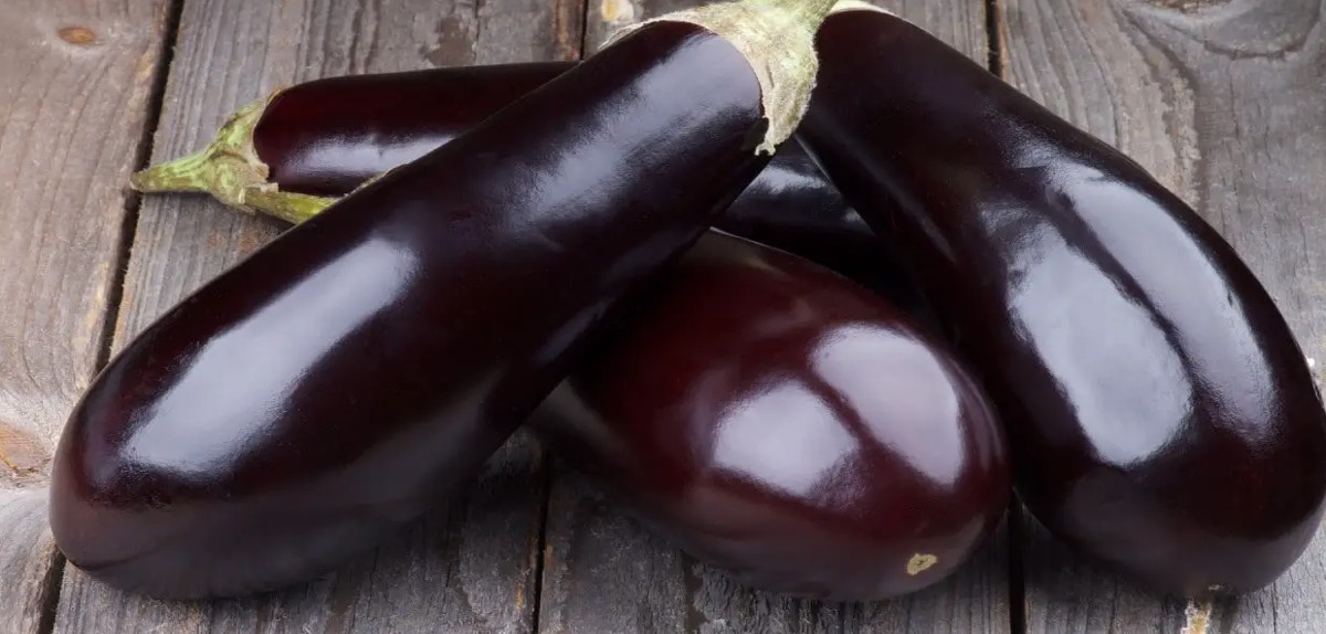 اهم فوائد الباذنجان الني للجسم والحامل 1 فوائد الباذنجان الني