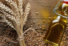 اهم فوائد جنين القمح للصحة 31 فوائد جنين القمح