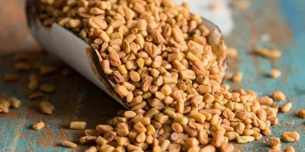 اهم فوائد حبوب الحلبة للجسم 4 فوائد حبوب الحلبة