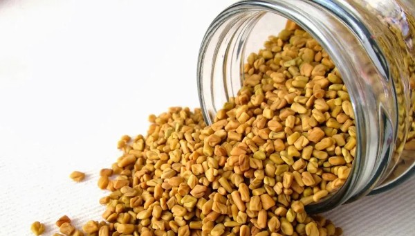 اهم فوائد حبوب الحلبة للجسم 3 فوائد حبوب الحلبة